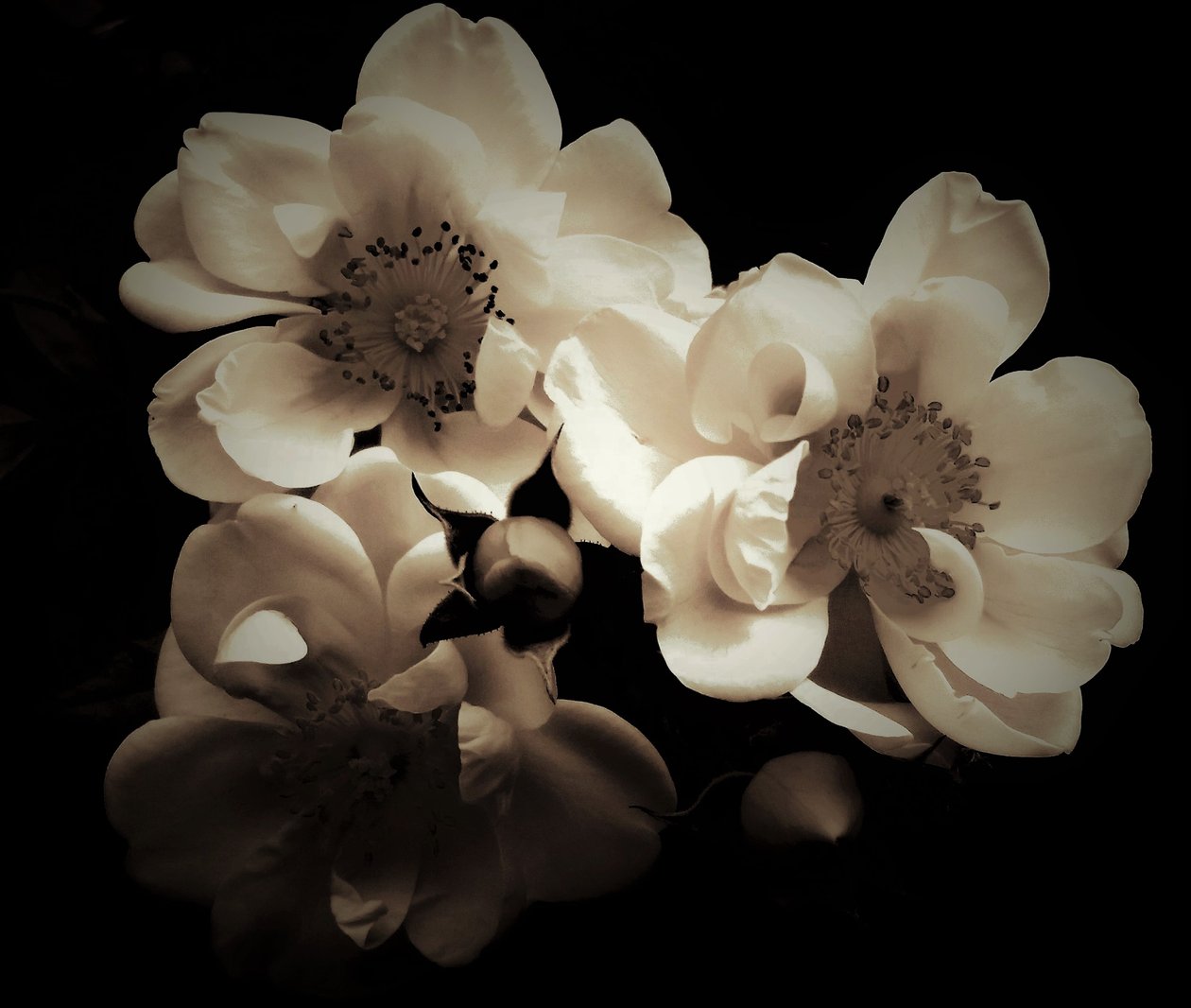combinaison naturelle, 2019 - Alex Caminker