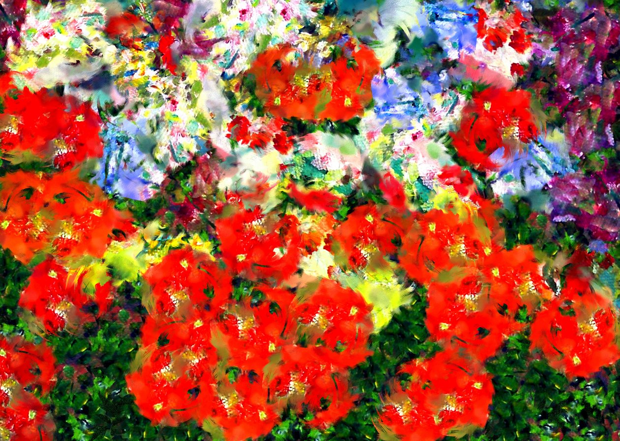 Coquelicot - Alex Caminker