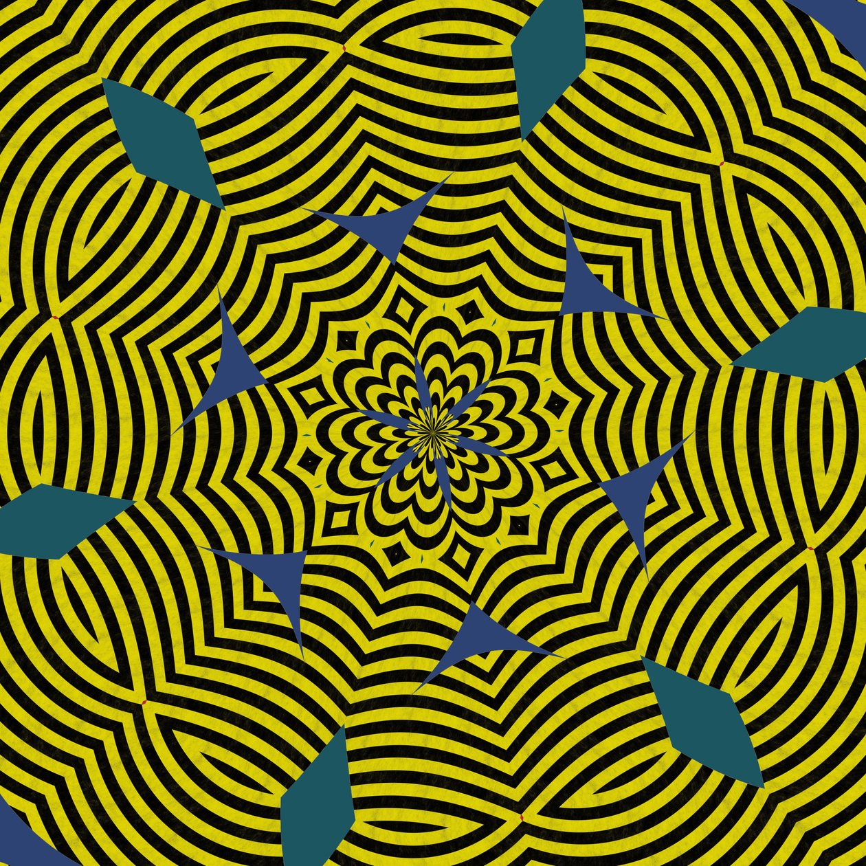 symétrie #13 - Alex Caminker