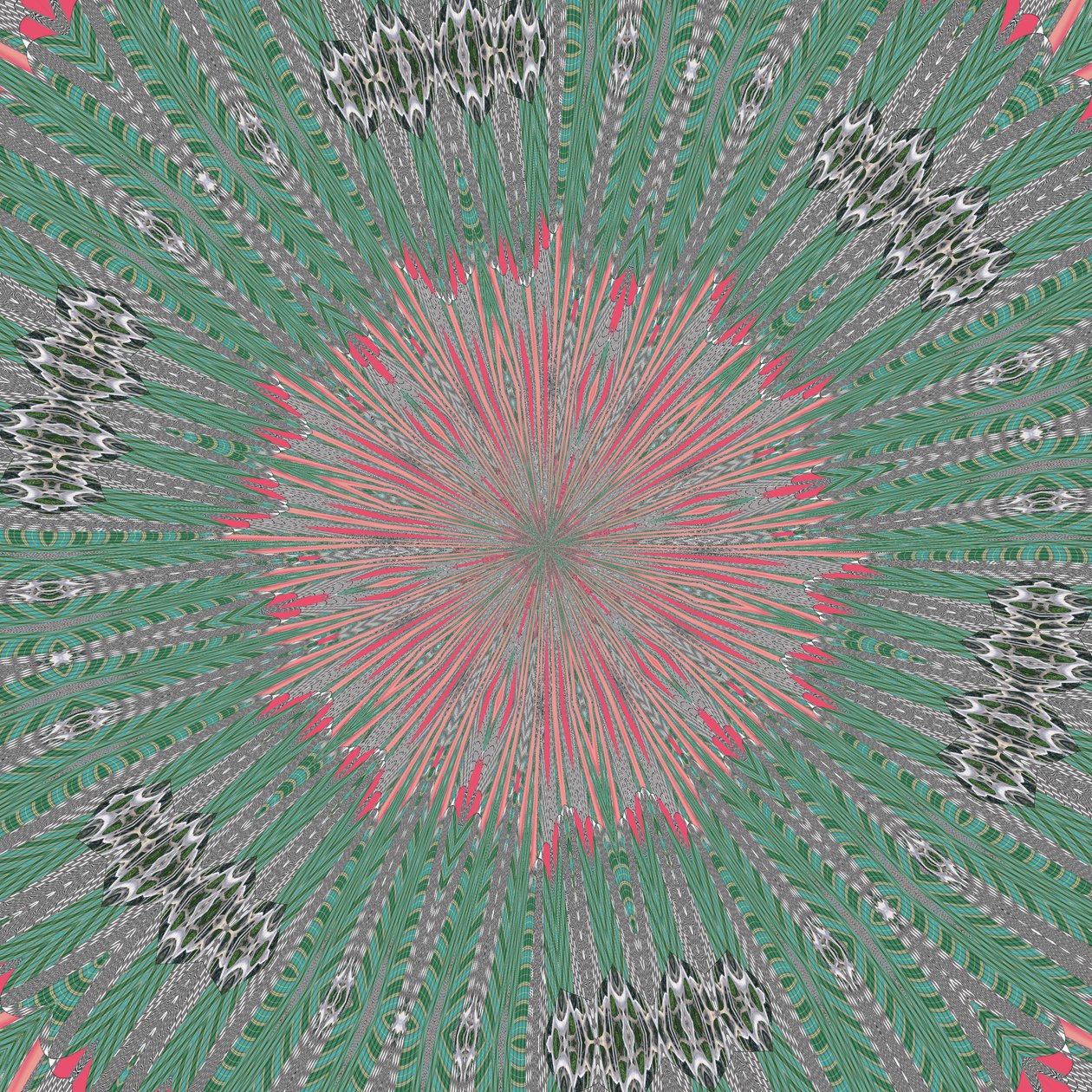 symétrie #31 - Alex Caminker