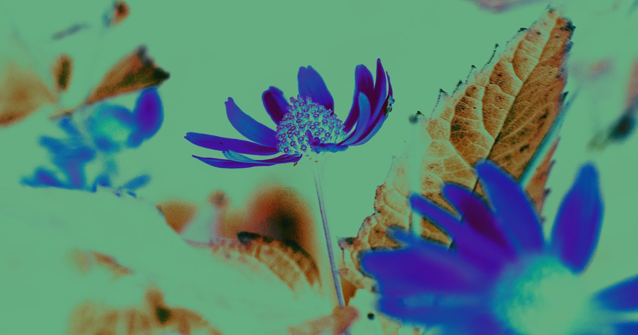 Vision UV, 2019 - Alex Caminker