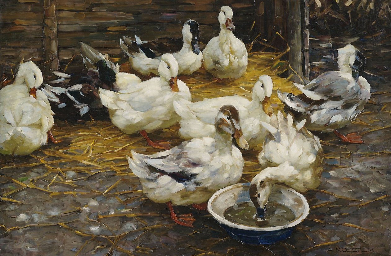 Canards dans la paille - Alexander Koester