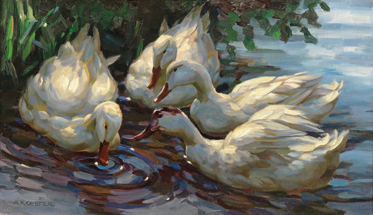 Quatre canards à l