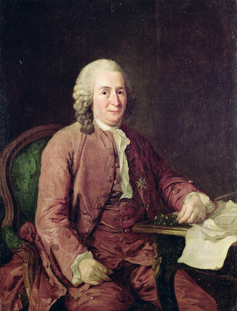 Portrait de Carl von Linné (1707-78) - Alexander Roslin