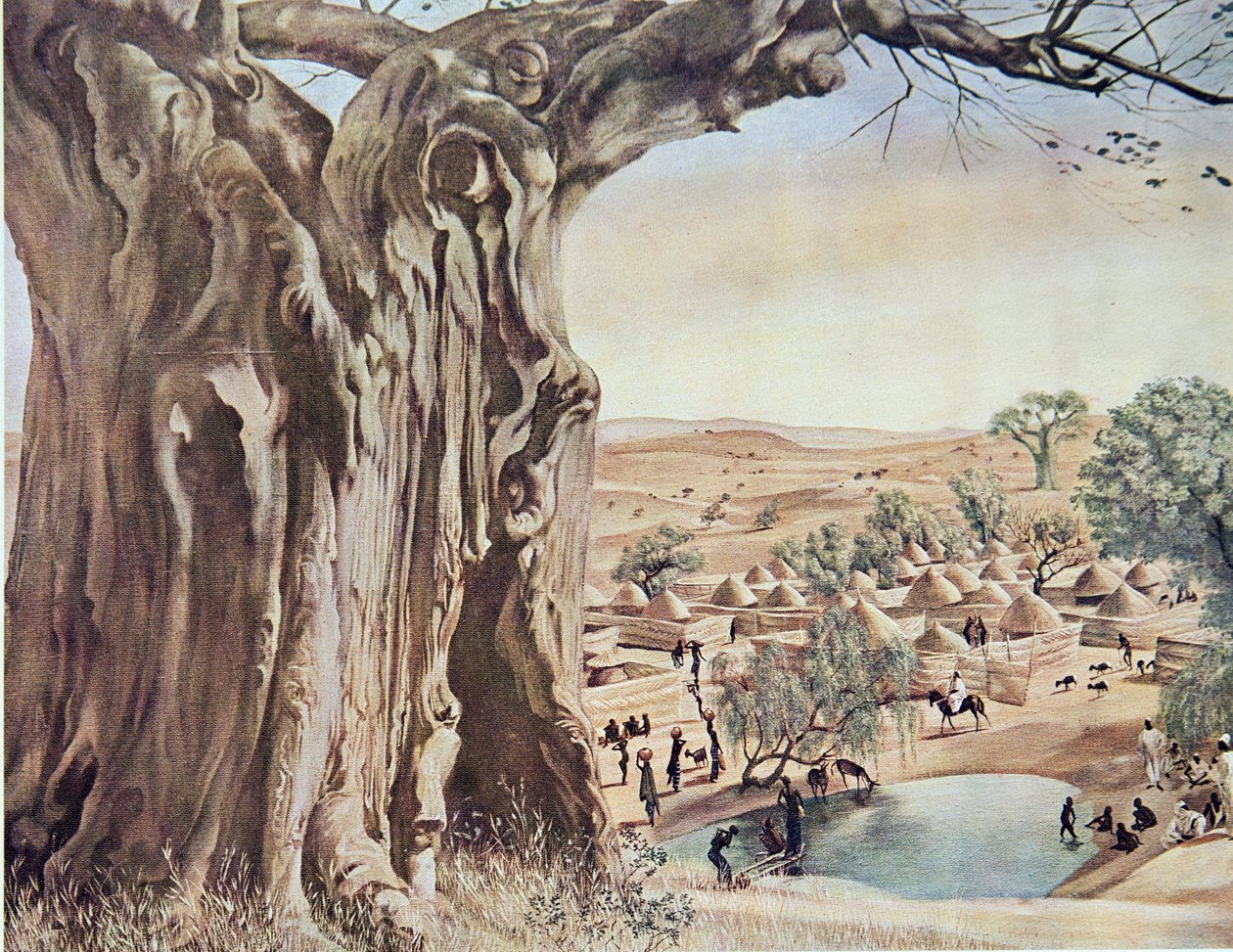Un Baobab (Soudan) - Alexander Yakovlev
