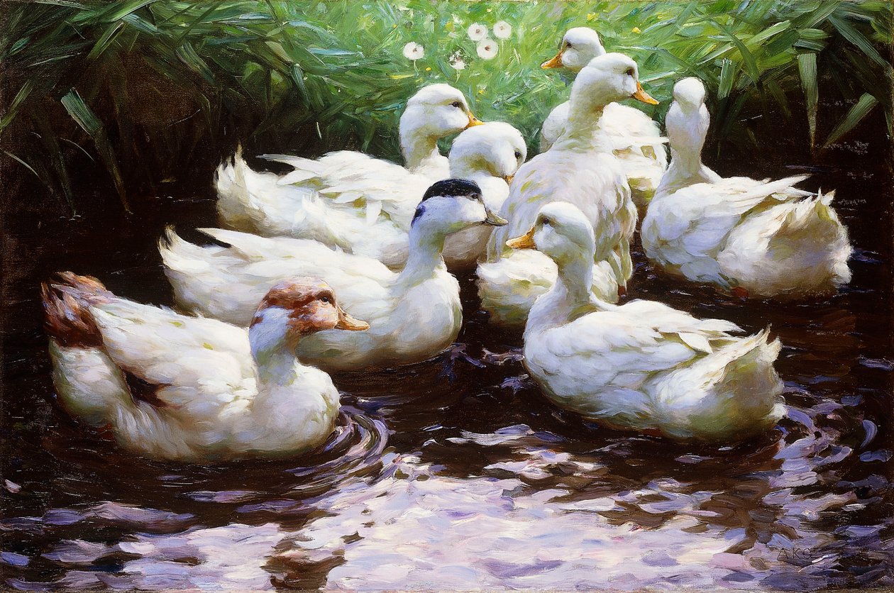 À Terre (Canards) - Alexander Koester