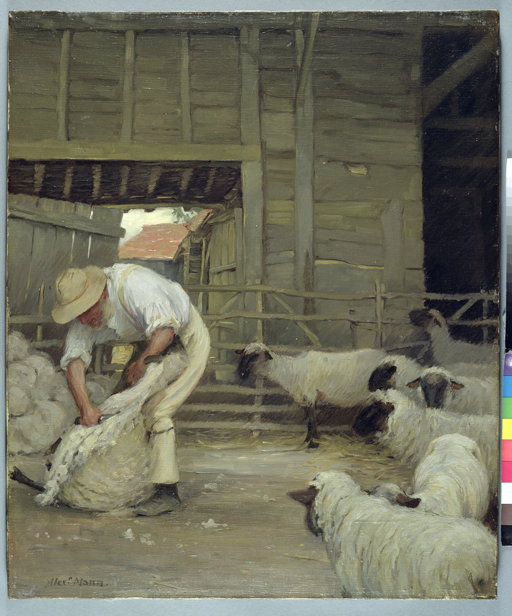 Tonte des moutons - Alexander Mann