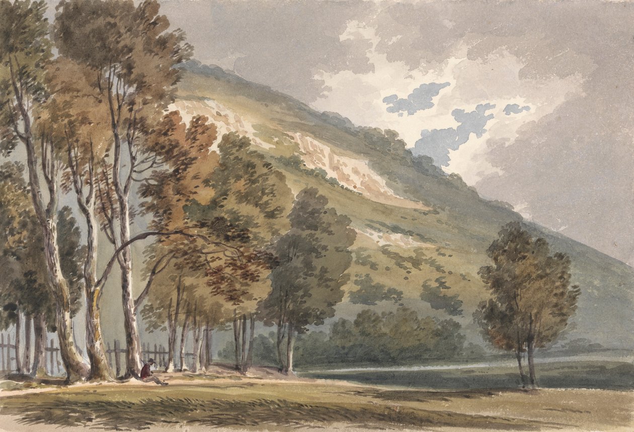 Paysage à Boxhill, Surrey - Alexander Monro