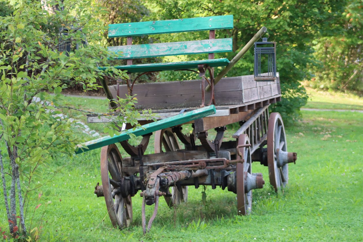 Ancienne calèche dans le parc - Alexandra Joseph