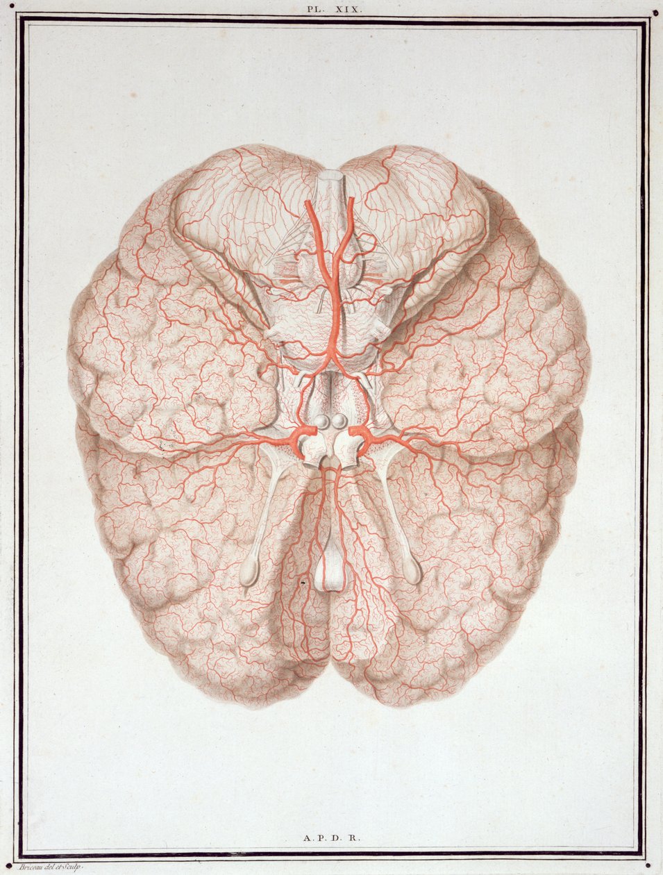 Le cerveau, de 