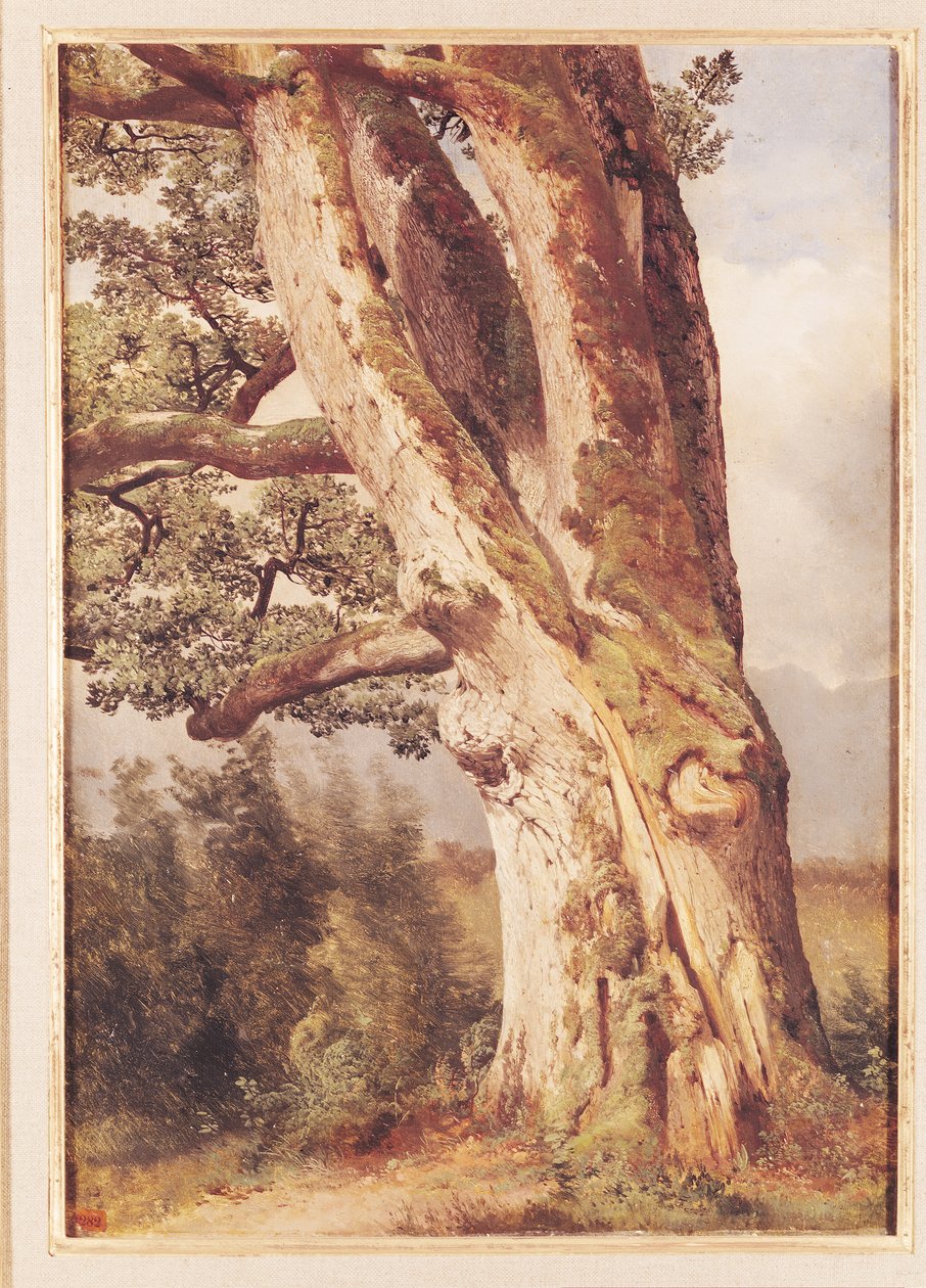 Le Chêne - Alexandre Calame