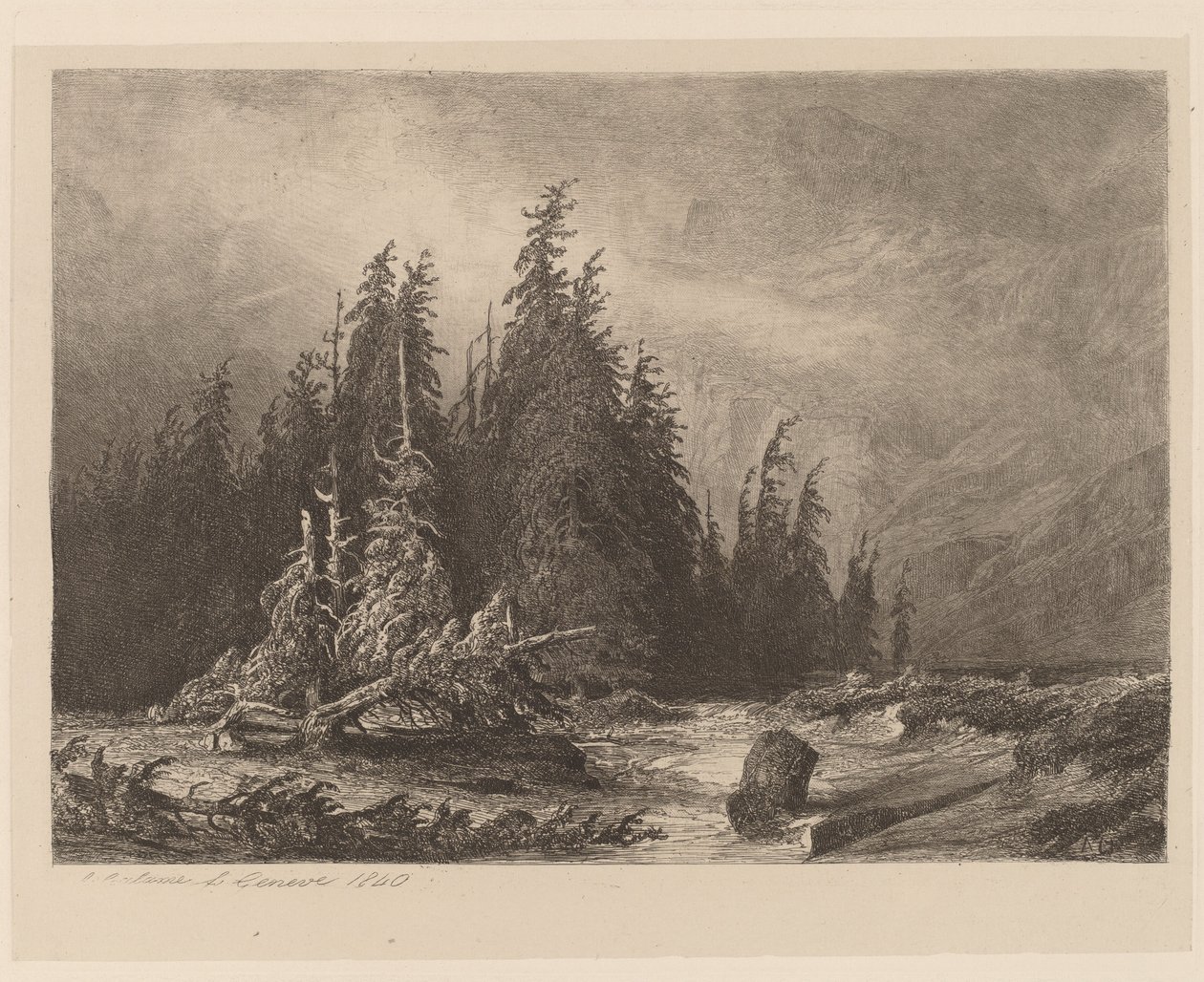 Pins de montagne - Alexandre Calame