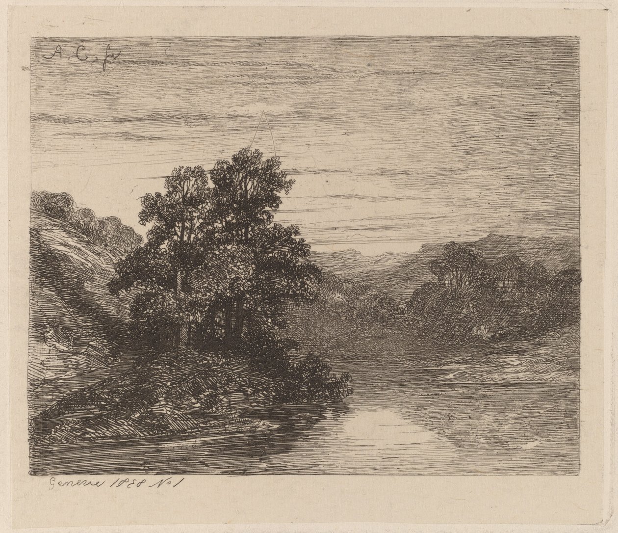 Arbres près d