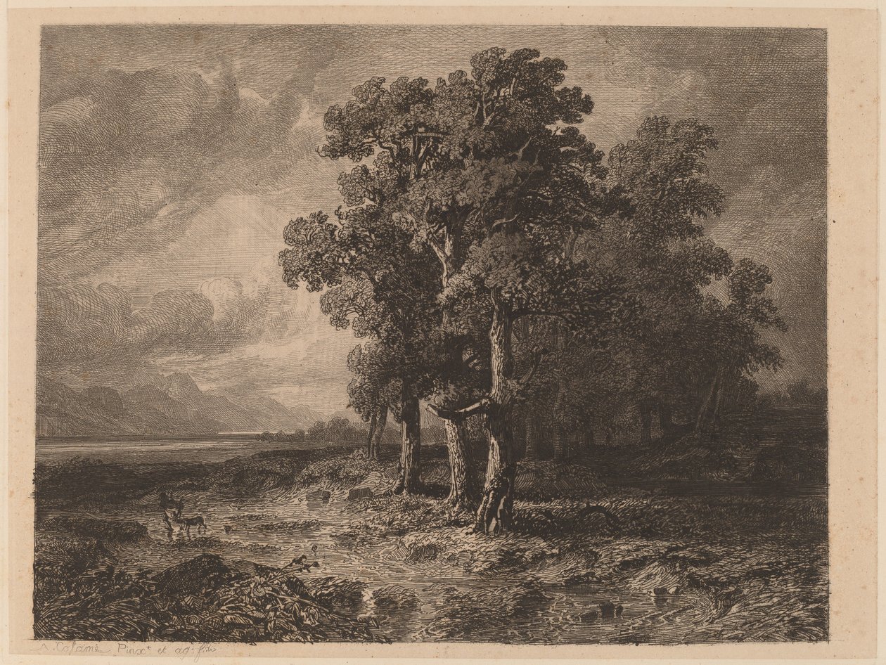 Arbres dans une tempête - Alexandre Calame