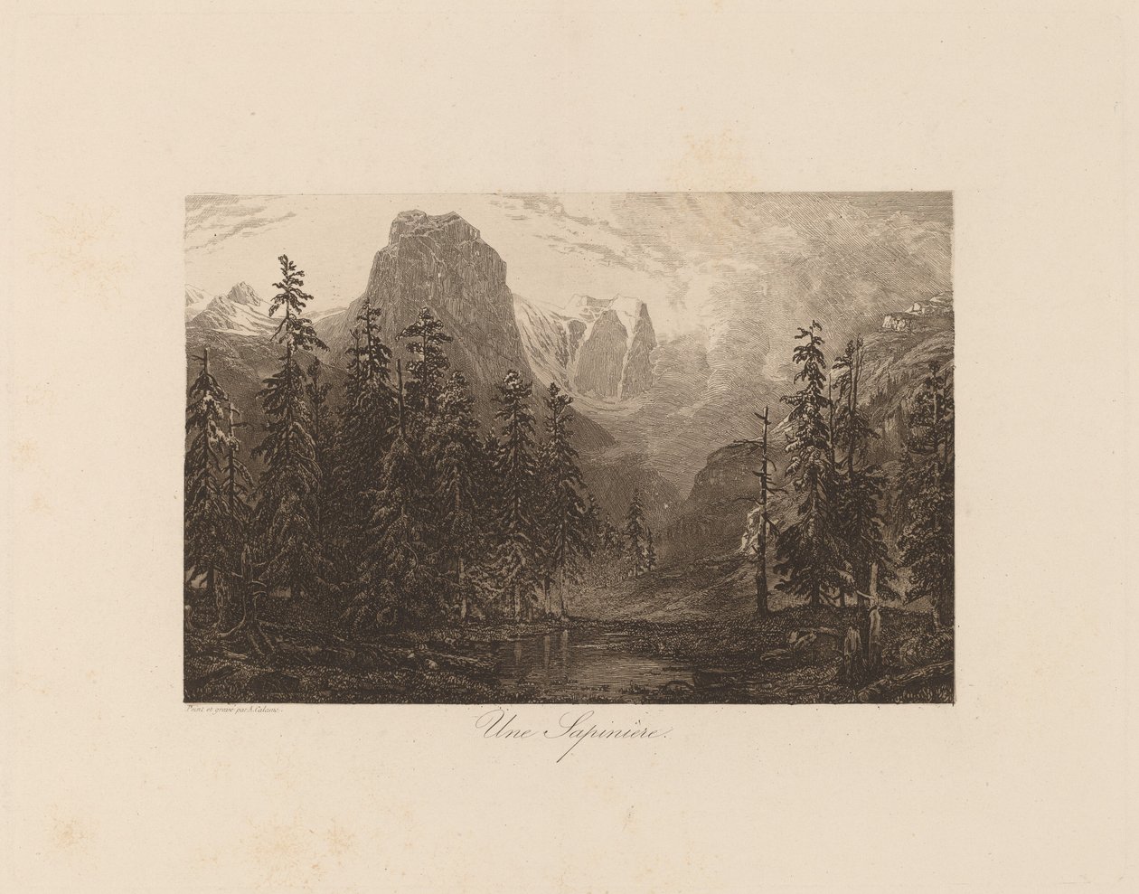 Une sapinière - Alexandre Calame