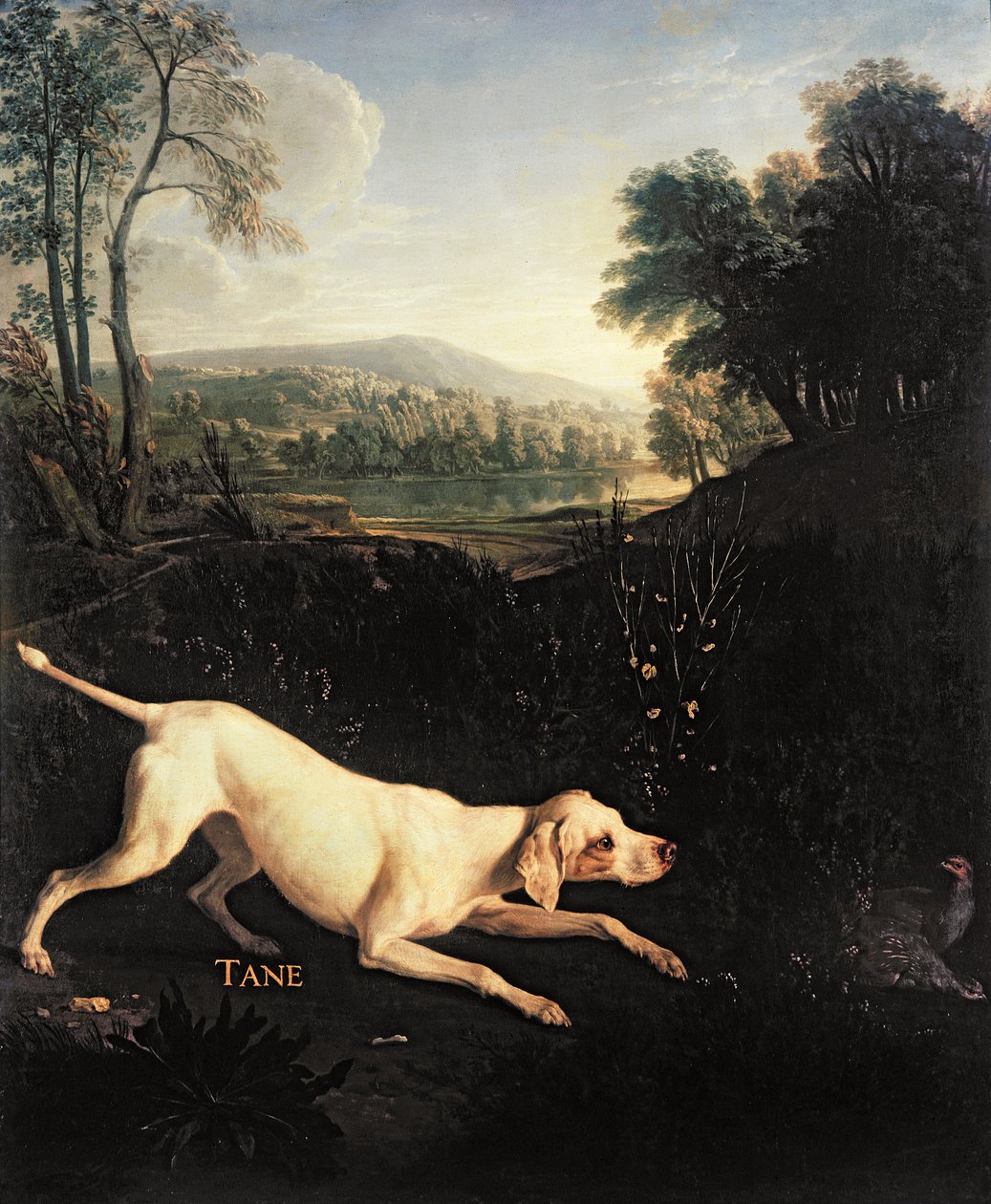 Le chien de Louis XIV, Tane - Alexandre Francois Desportes