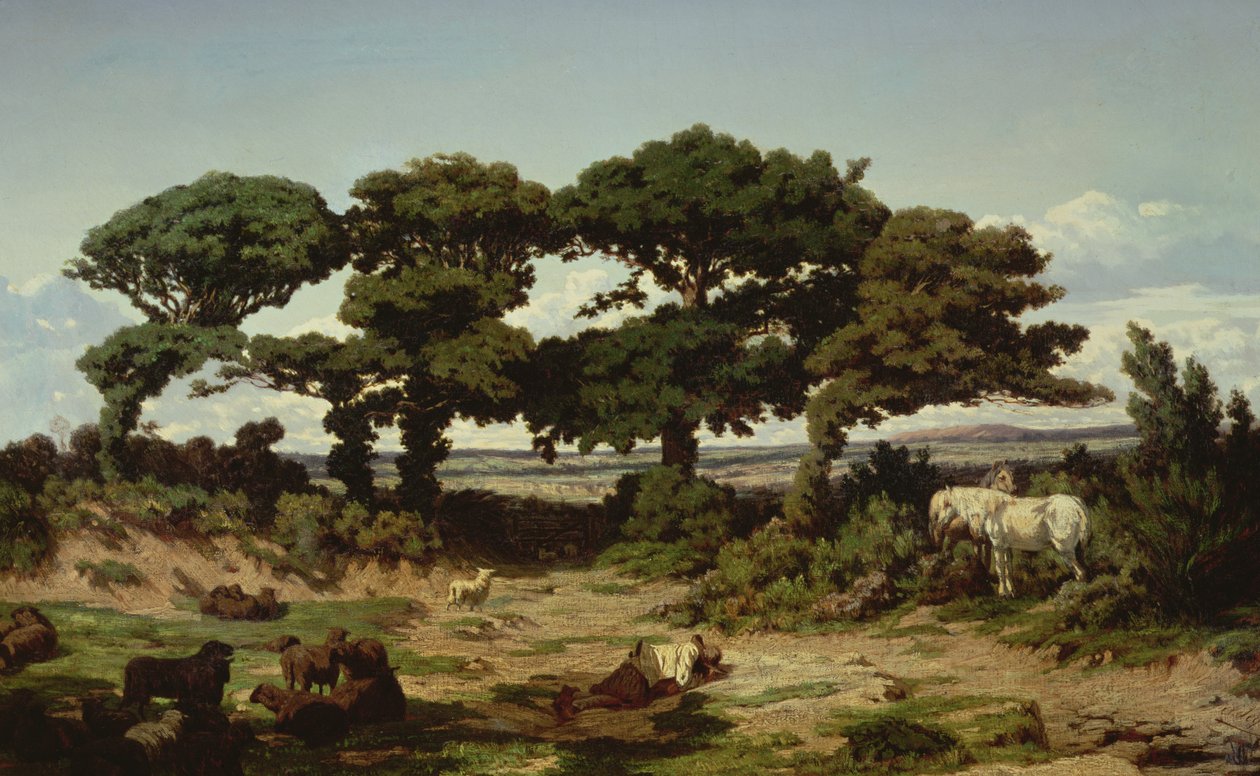 Les chênes de Kertregonnec, vers 1869-70 - Alexandre Sege