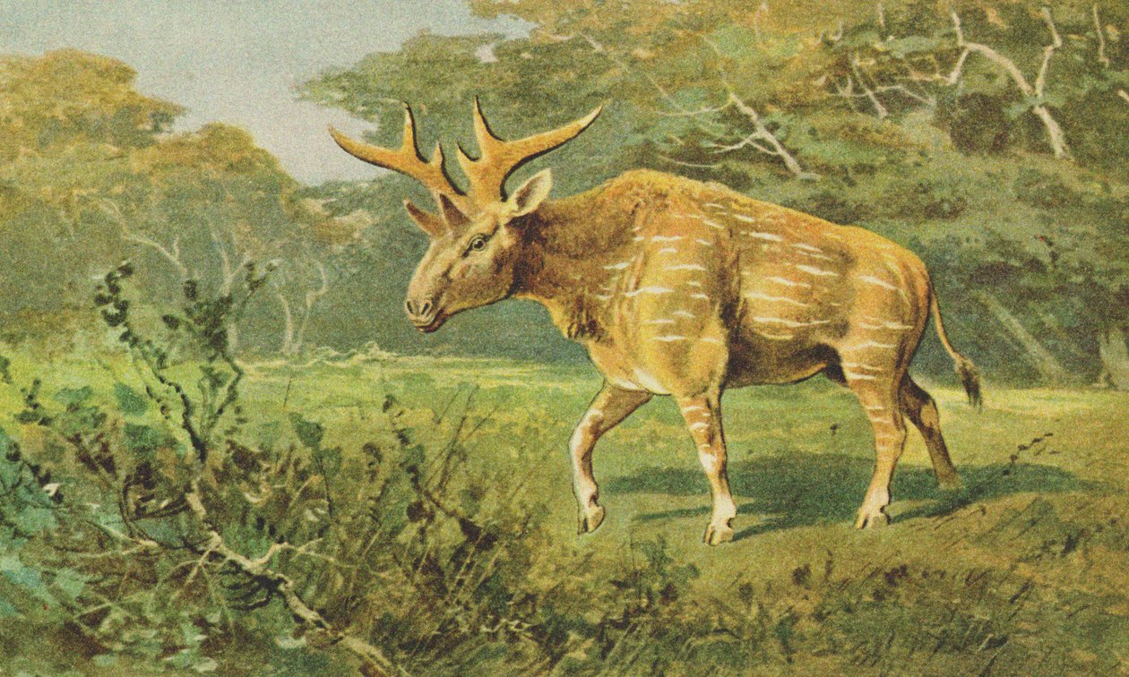 Sivatherium vers 1900 - Alfred Brehm