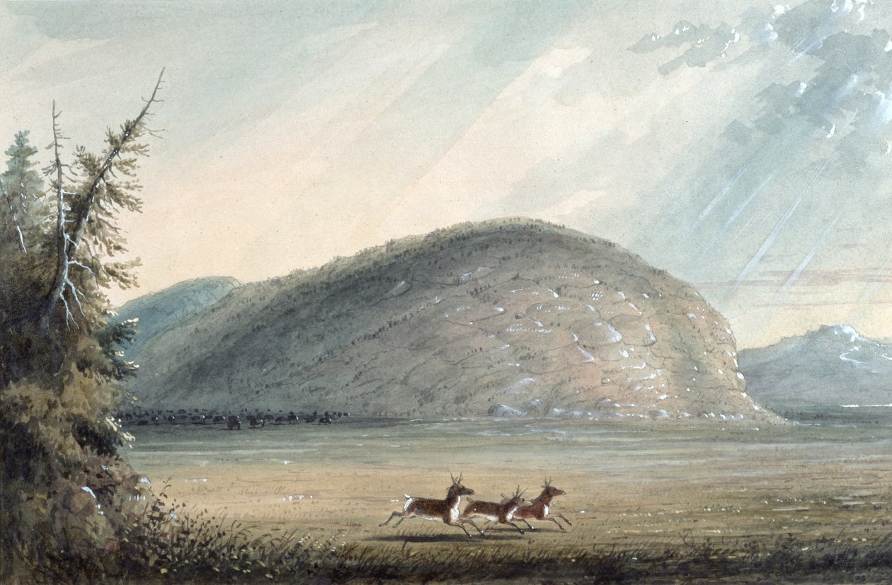 Rocher de l