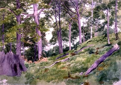 Clairière dans les bois près de Ludlow - Alfred Nichols