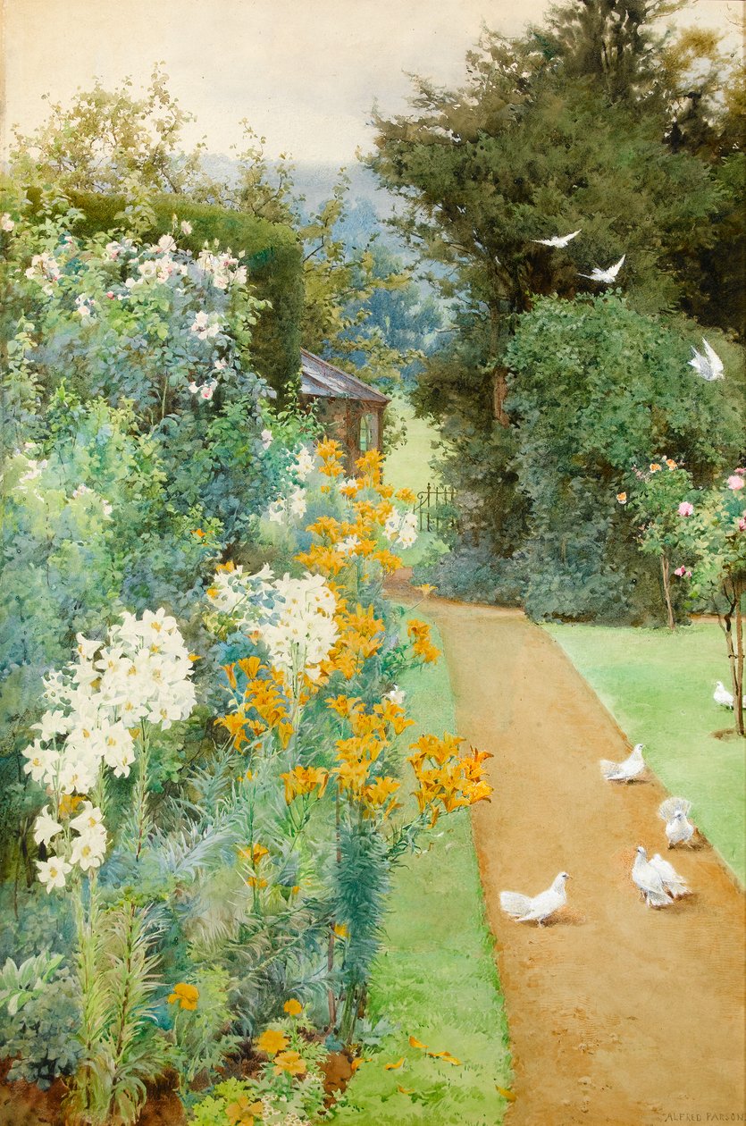 Lys et colombes dans un coin de mon jardin - Alfred Parsons