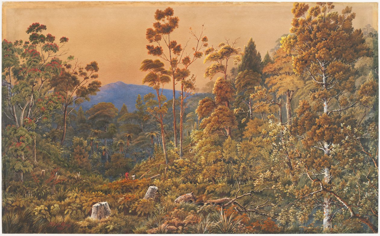 Un soir doré, île Waiheke - Alfred Sharpe
