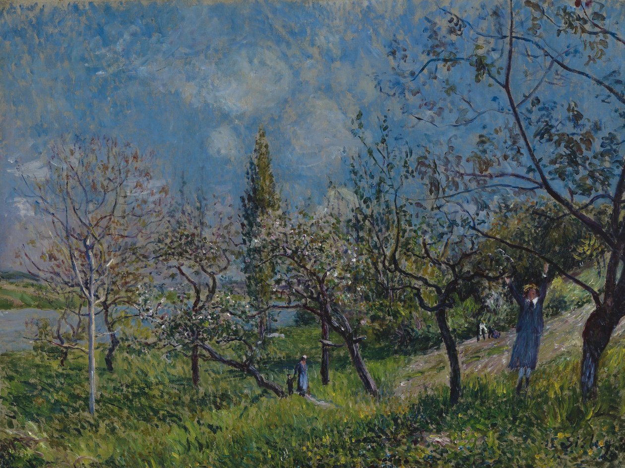 Verger au printemps - Alfred Sisley