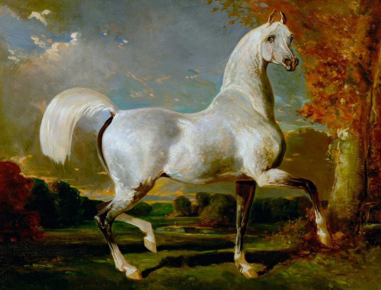 Étalon arabe - Alfred Dedreux