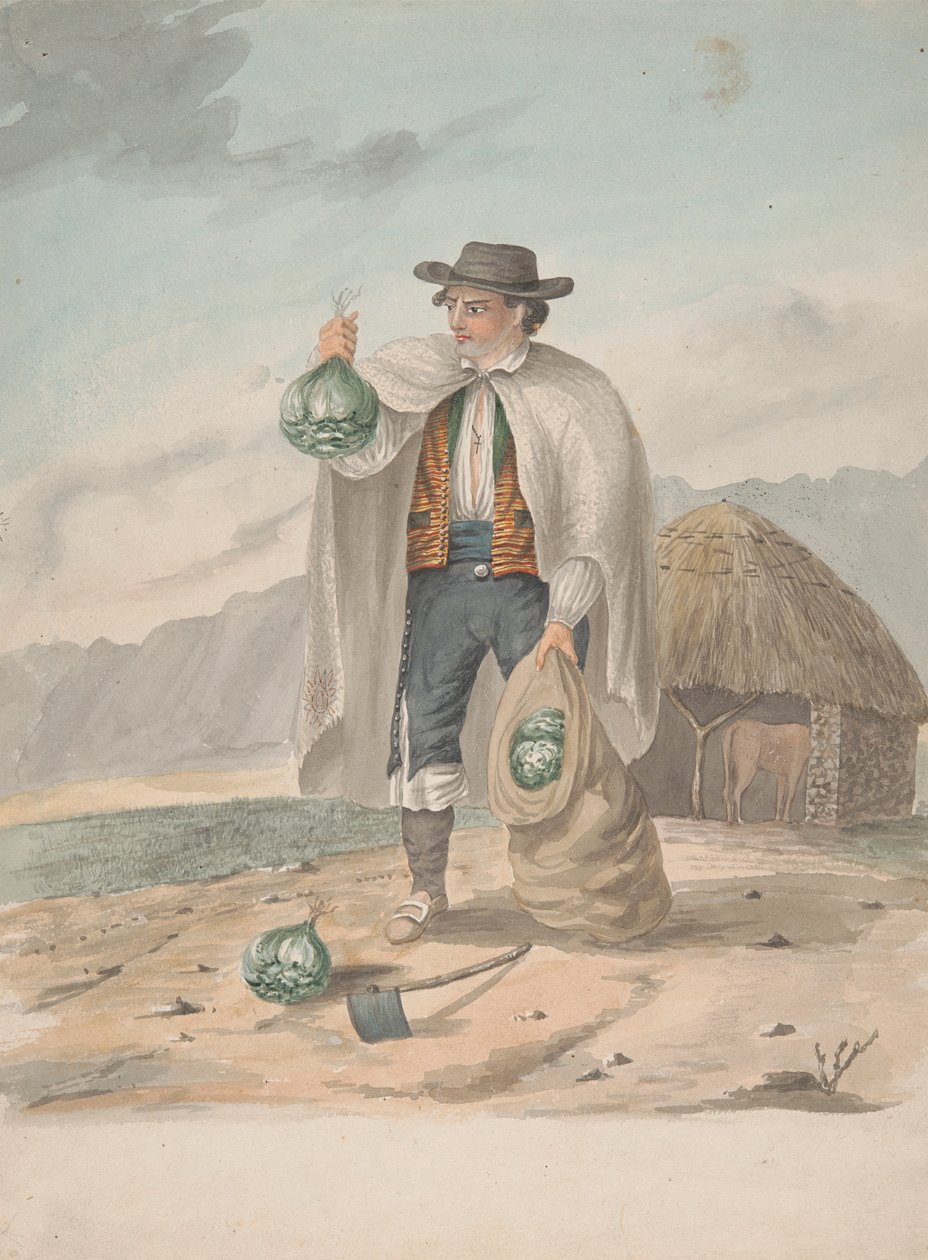 Tenerife - Homme de Tacoronte - Alfred Diston