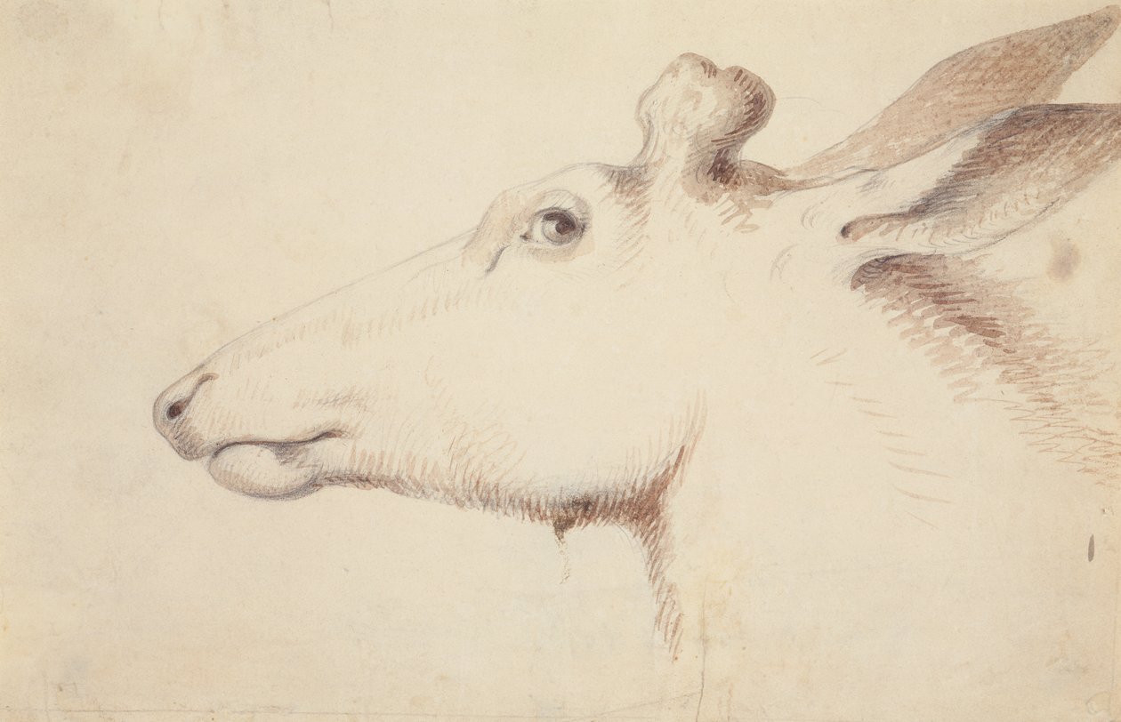 Élan. vers 1837 - Alfred Jacob Miller