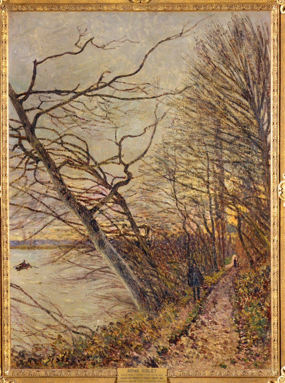 Le Bois des Roches, Veneux-Nadon … - Alfred Sisley
