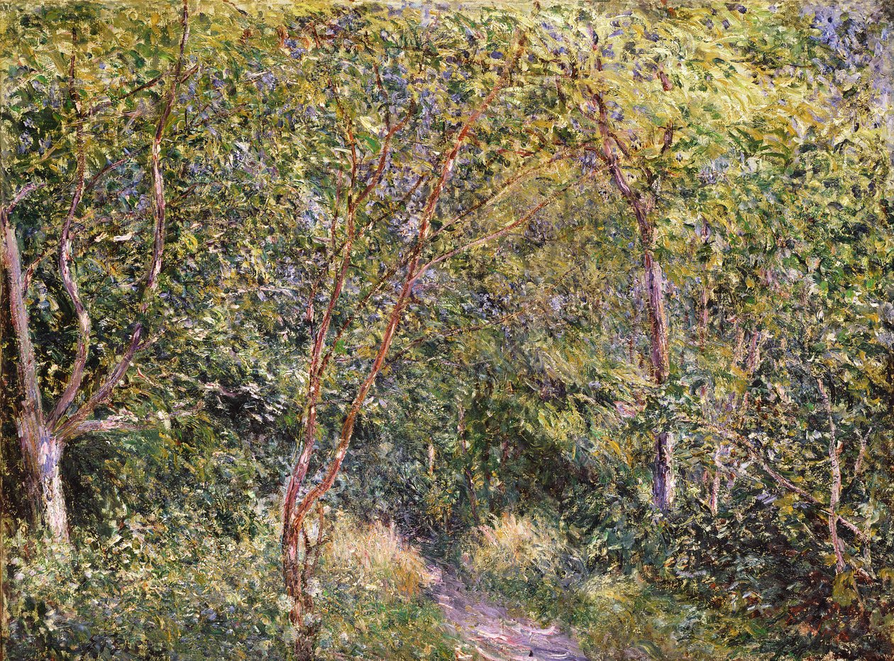 Image inconnue - Alfred Sisley