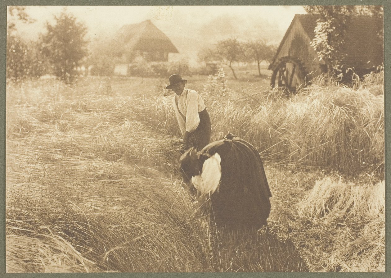 Matinée - Alfred Stieglitz