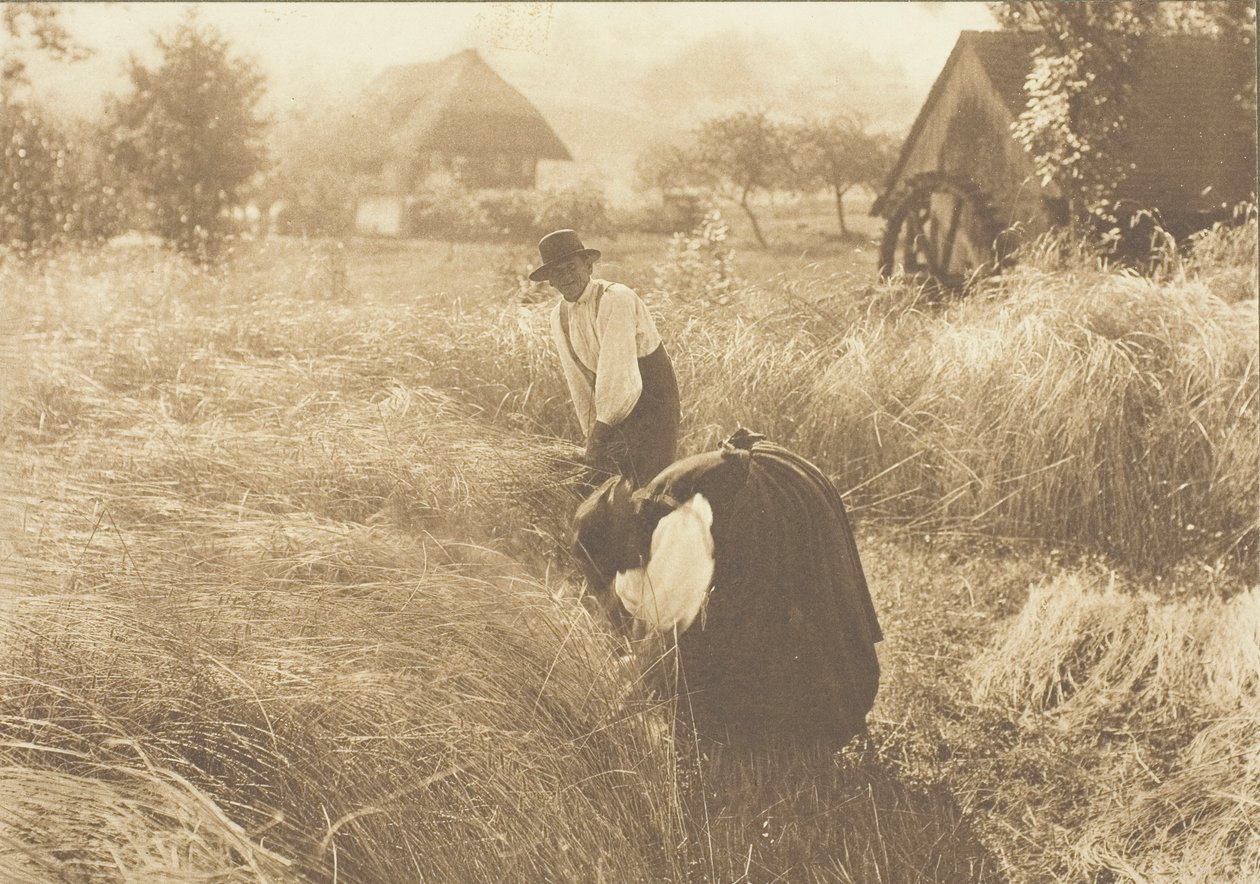 Matin tôt, 1894 - Alfred Stieglitz