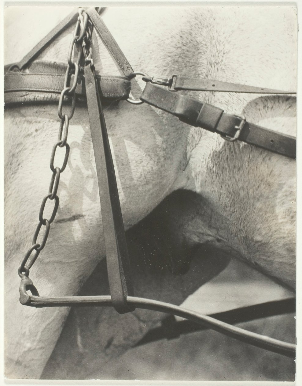 Équivalent, Amérique spirituelle - Alfred Stieglitz