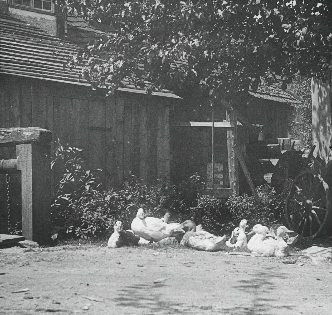 Gutach, 1894 - Alfred Stieglitz