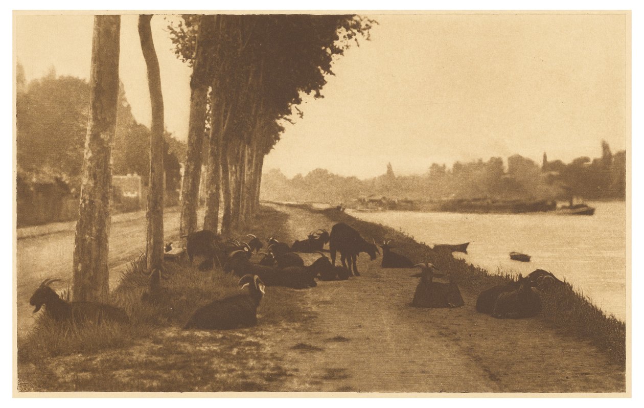 [Sur la Seine - Près de Paris] - Alfred Stieglitz