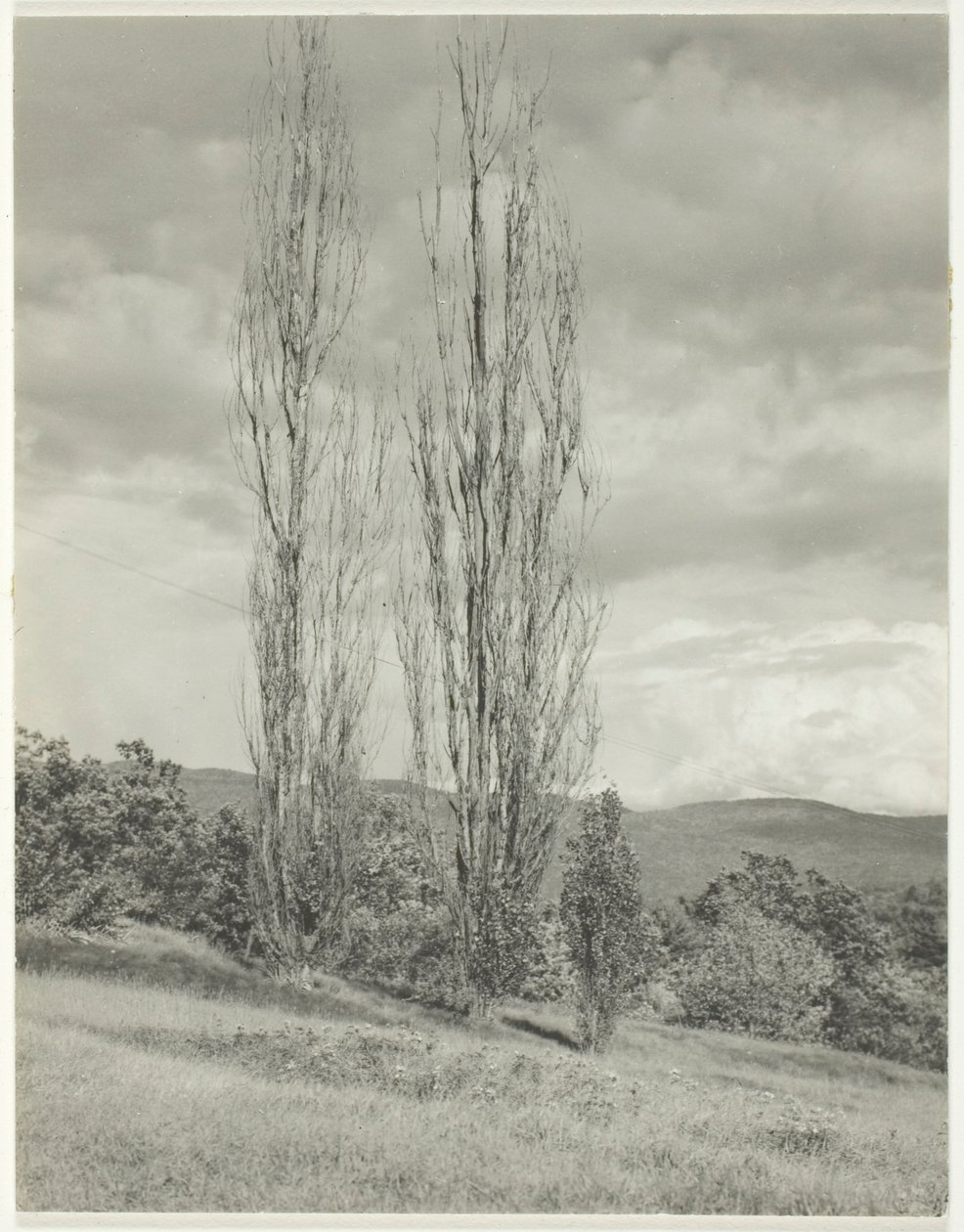 Peupliers—Lac George - Alfred Stieglitz