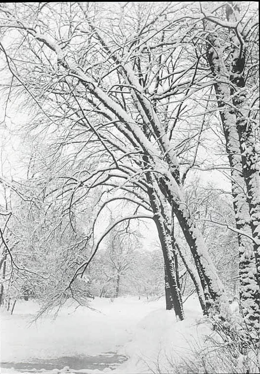 Paysage enneigé, Berlin - Alfred Stieglitz