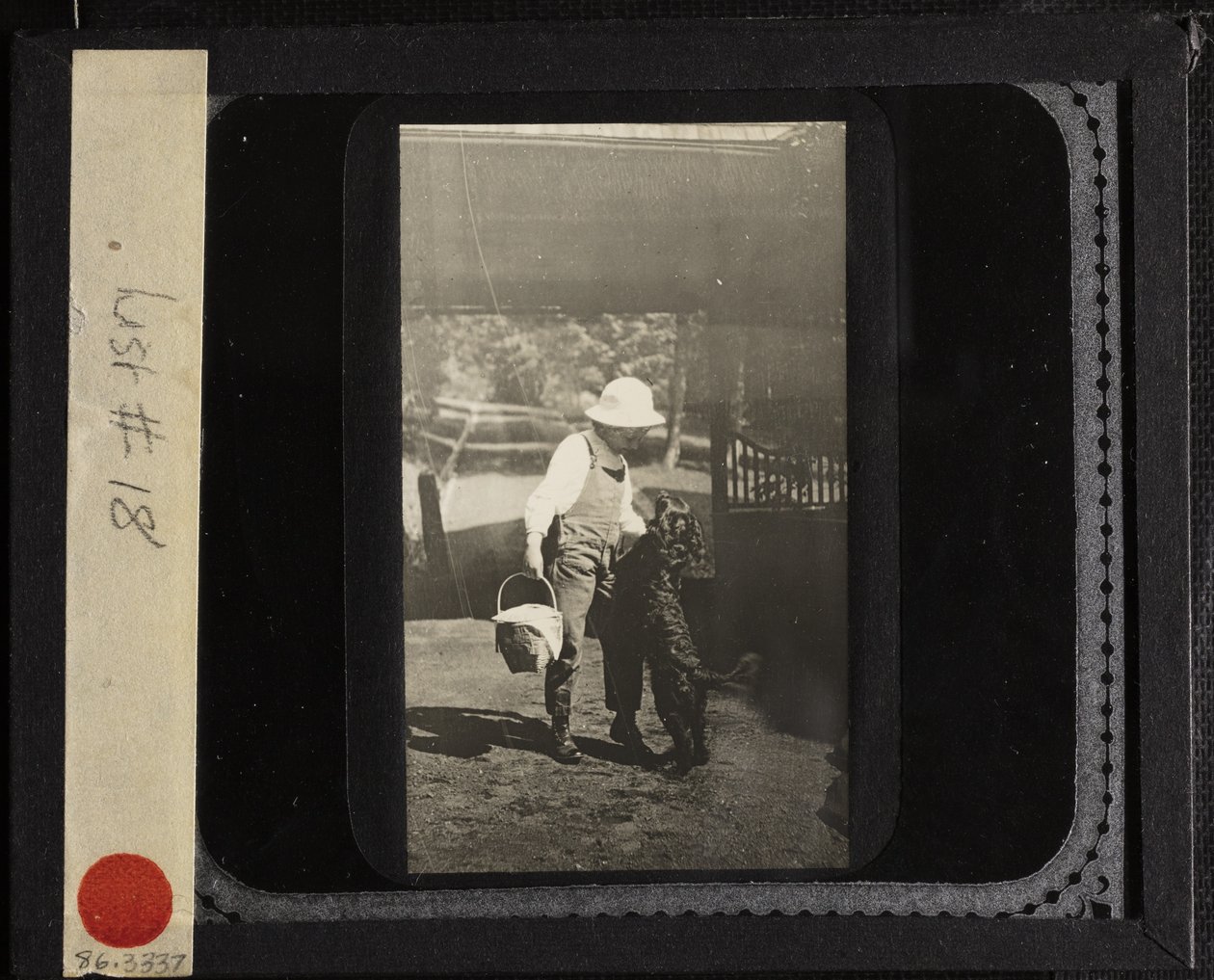 Sans titre (Nièce Elizabeth avec "Inky" à Oaklawn) - Alfred Stieglitz