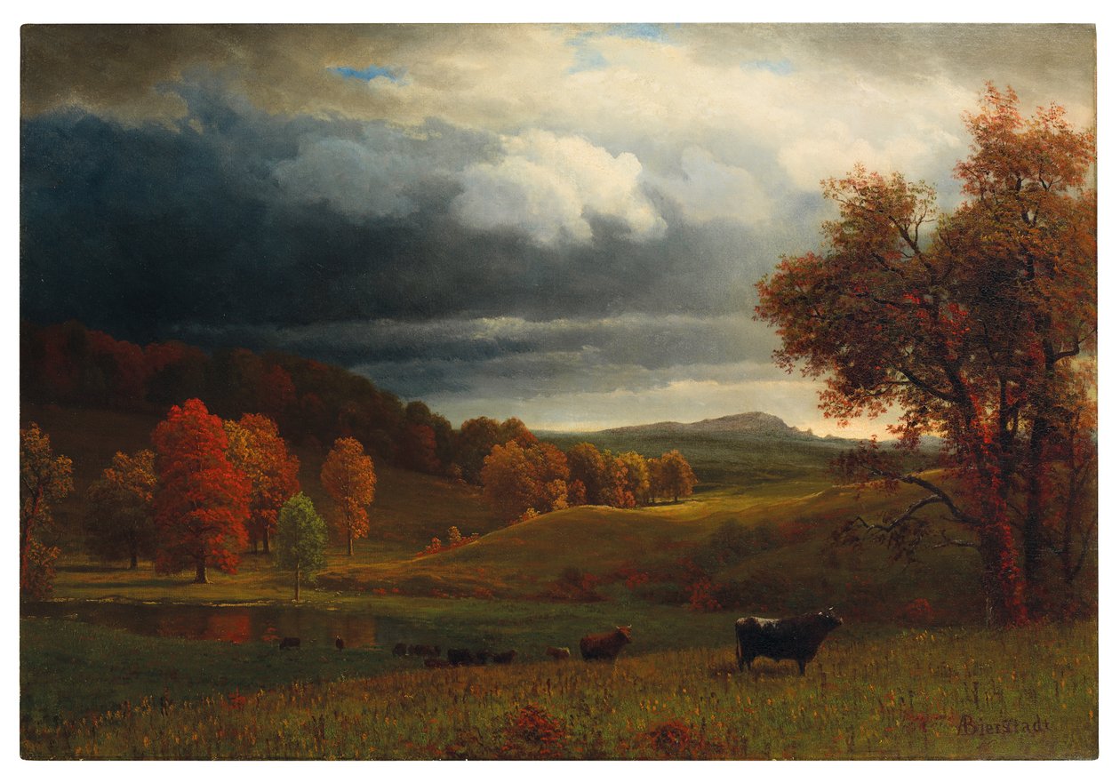 Paysage d