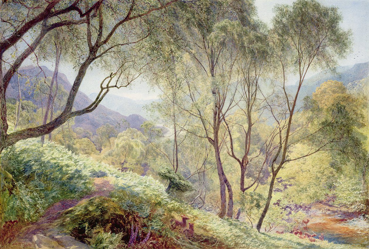 Ullswater depuis Gowbarrow Park, 1864 - Alfred William Hunt