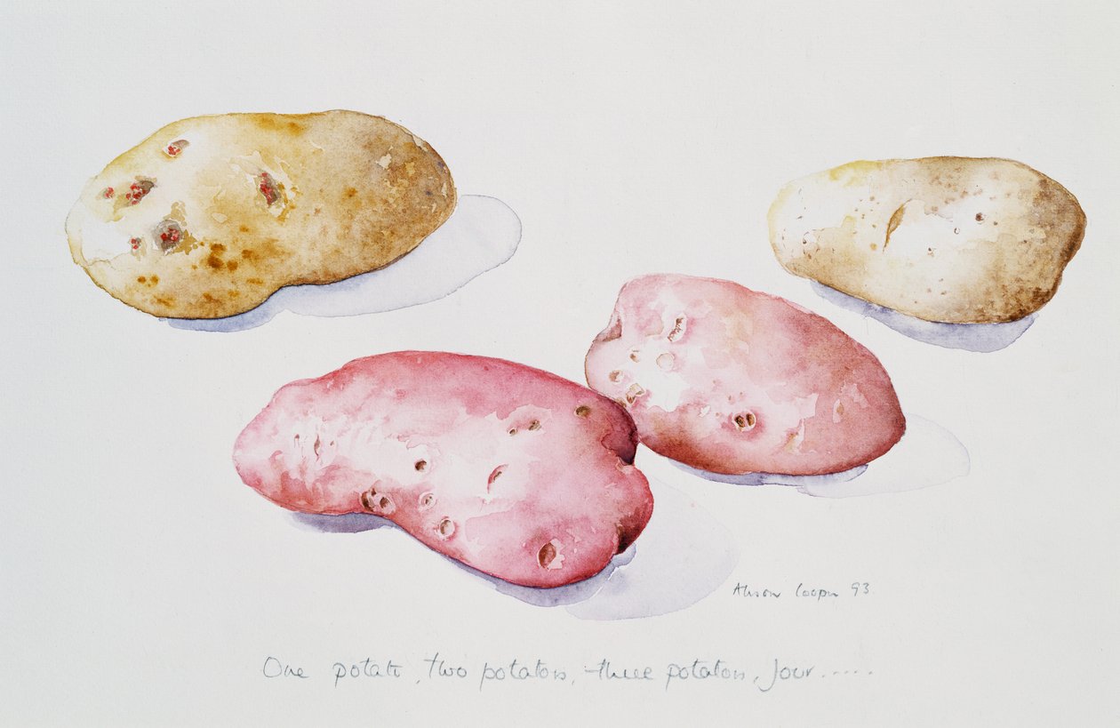 Étude de Pomme de Terre, 1993 - Alison Cooper