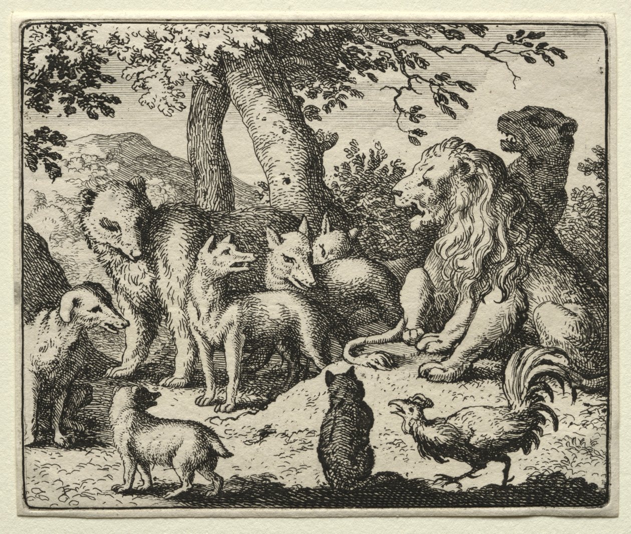 Reynard le Renard : Reynard s