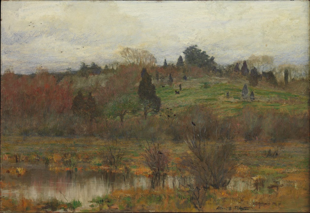 Retour de la grive - Allen Butler Talcott