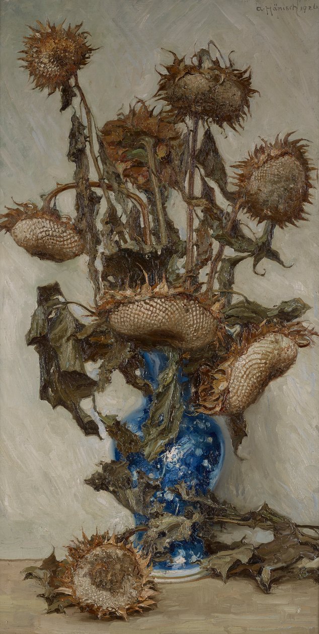 Helianthus - Alois Hänisch
