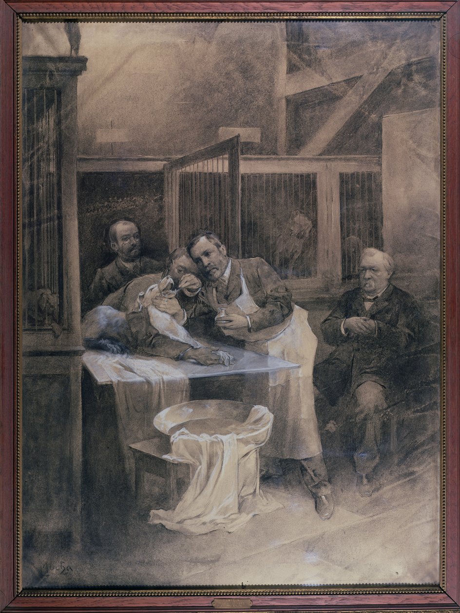 Louis Pasteur (1822-95) prenant un échantillon de mousse d