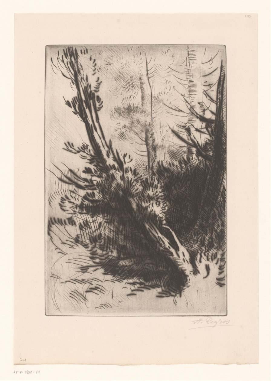 Arbres - Alphonse Legros (signed by artist)