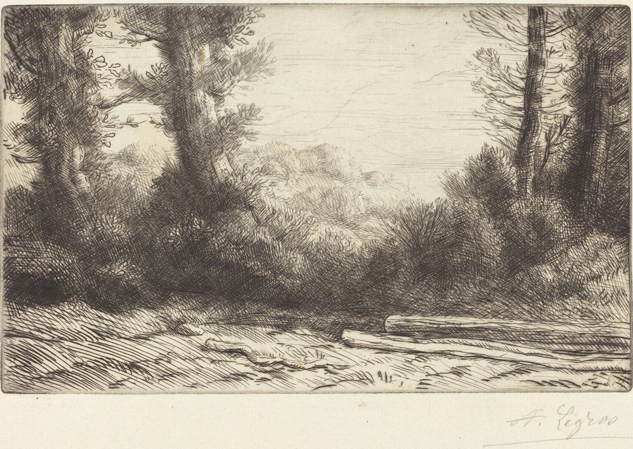 Lisière de bois - Alphonse Legros