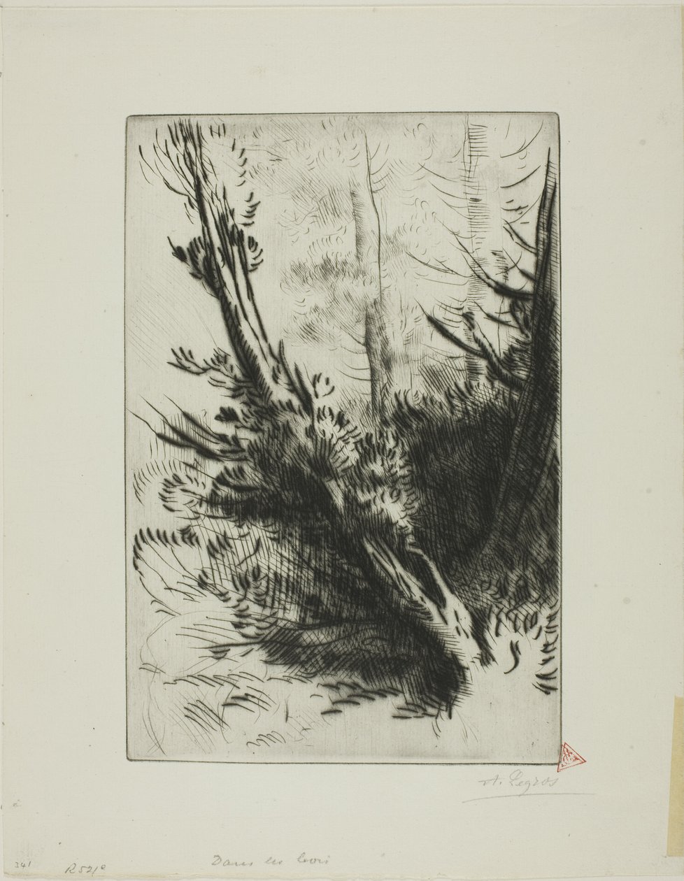 Dans un bois - Alphonse Legros